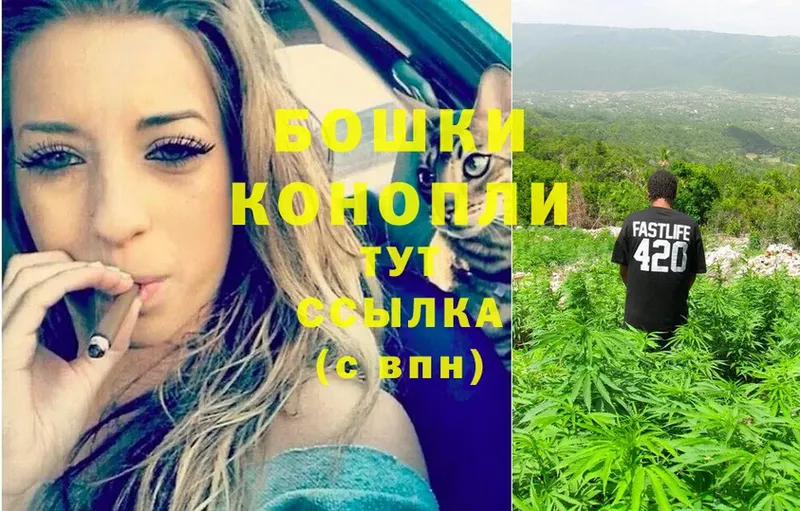 Бошки марихуана SATIVA & INDICA  Буй 